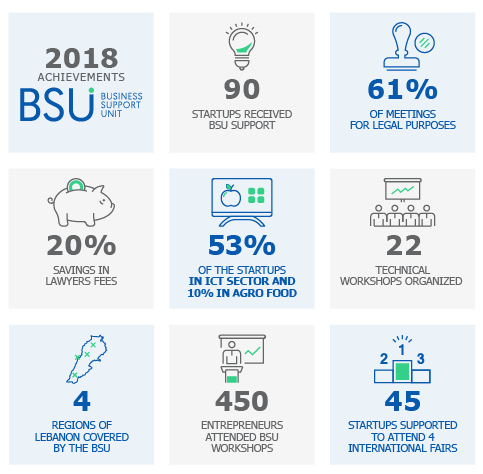 BSU Infographics 2018